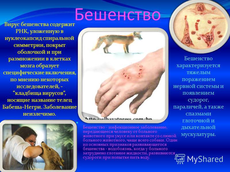 Как сделать кожу тела упругой и эластичной в домашних условиях Как подключить вай фай дома, инструкция к