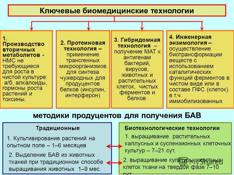 Основные направления биотехнологических производств - презентация онлайн