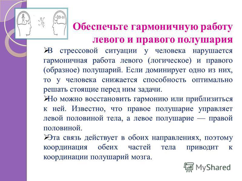 как правильно пить кору осины от паразитов как правильно пить кору осины от паразитов