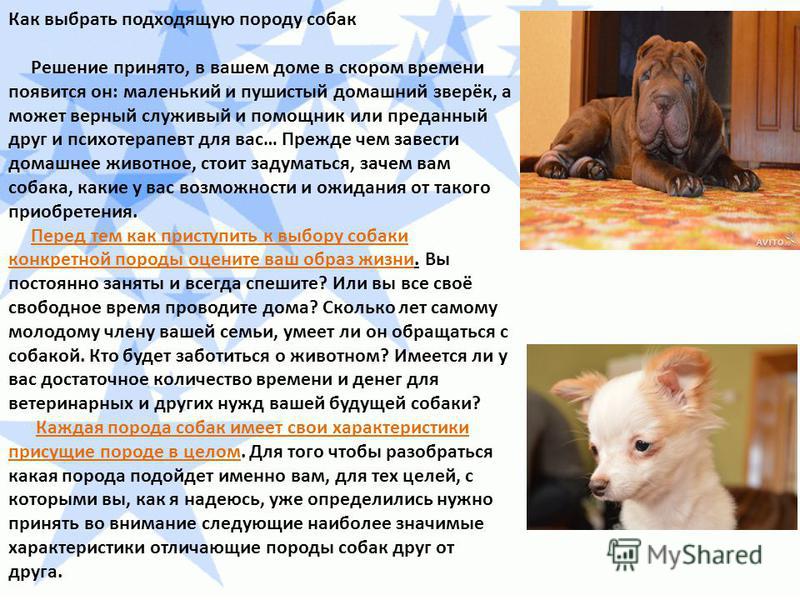 Ответы специалиста - Автомобиль Опоясывающий герпес - лечение, симптомы, причины