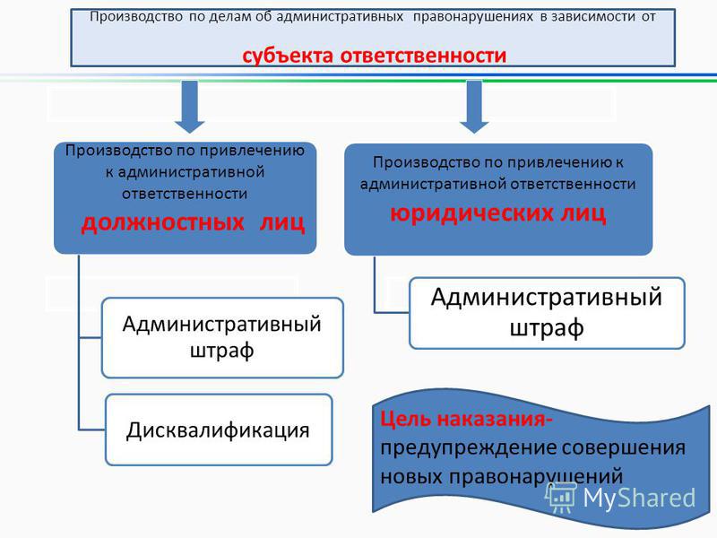 Производство по делам об административных правонарушениях Каллистрон После