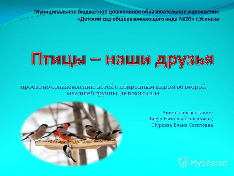 Проект в подготовительной группе "Птицы - наши друзья"