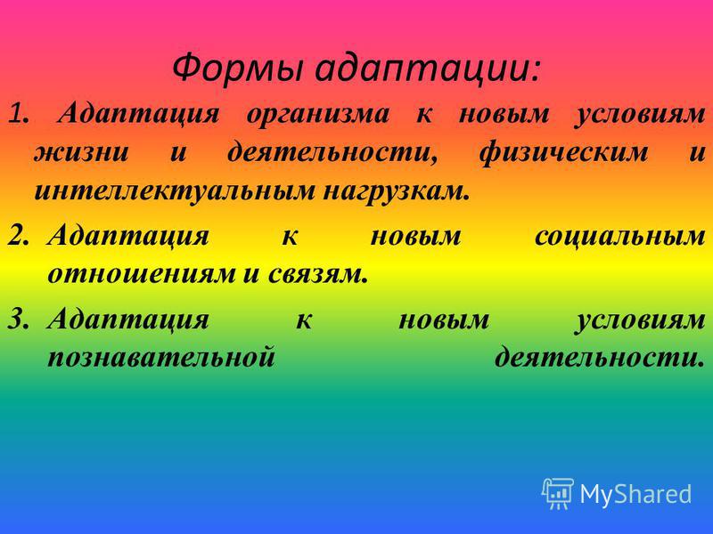 Как сделать гифку из на телефоне айфон Как сделать гифку из на телефоне айфон