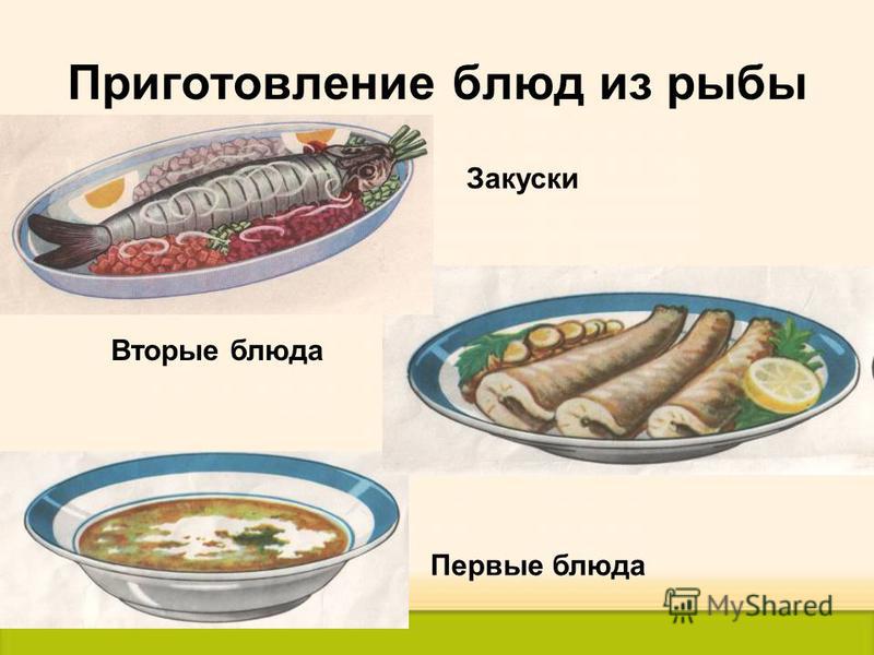 Блюда технология 6 класс