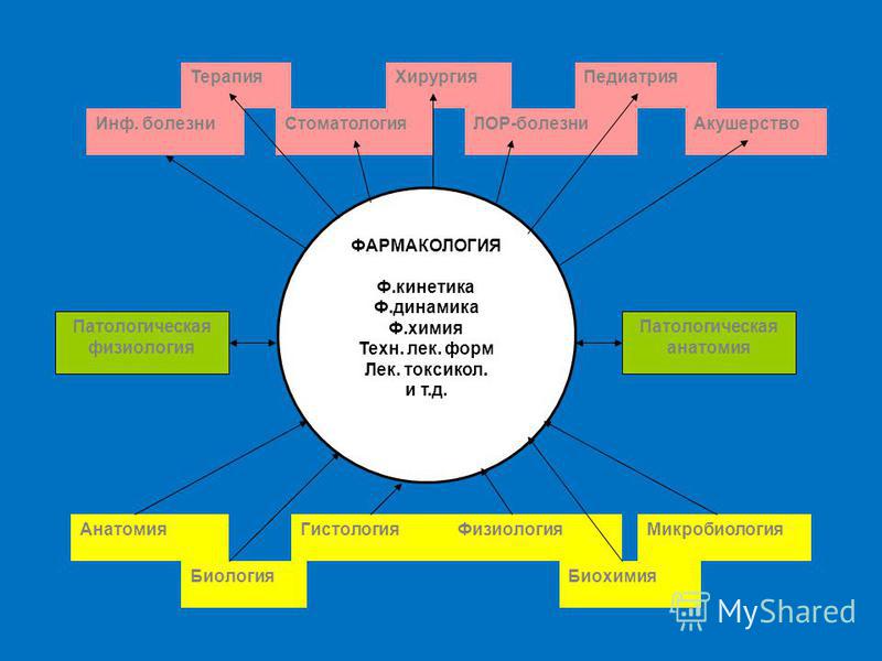 book die mitochondrialen atmungsketten komplexe funktion und fehlfunktion bei neurodegenerativen erkrankungen 409 sitzung