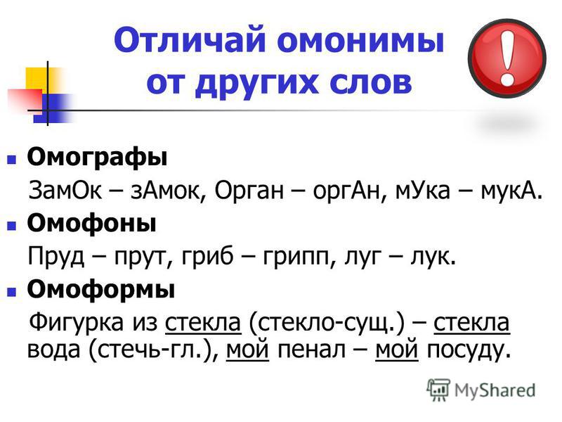 2 примера слов омонимов
