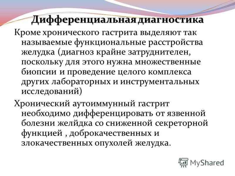 Курсовая работа: Процесс лечения собак с диагнозом хронический гастрит