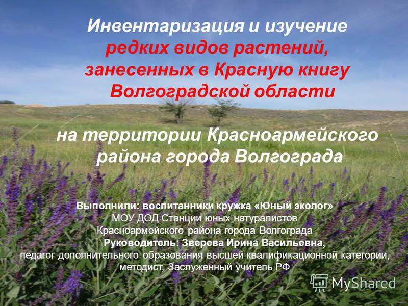 Почвы Оренбургской Области Презентация