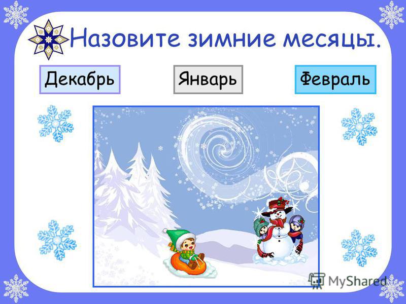 зимние месяцы живой природы зимние месяцы живой природы