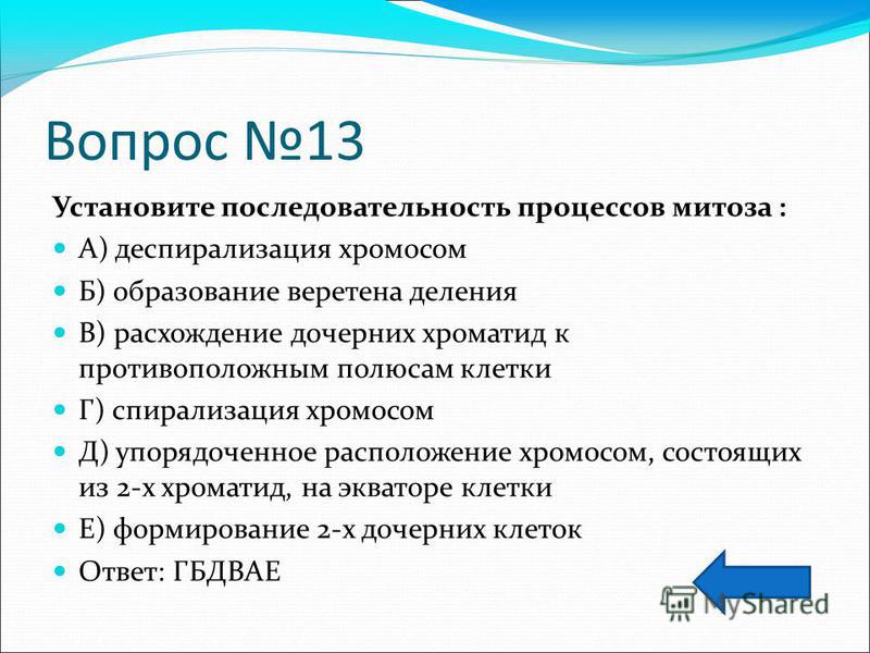Установите последовательность процессов происходящих в ходе мейоза фото Shkola-2