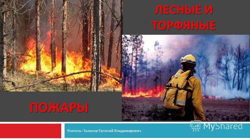 Контрольная работа: Лесные пожары - реферат