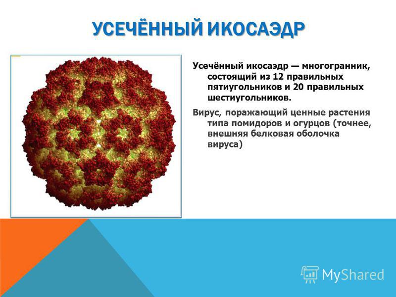 Рисунки из пятиугольников шестиугольников Рисунки из пятиугольников шестиугольников
