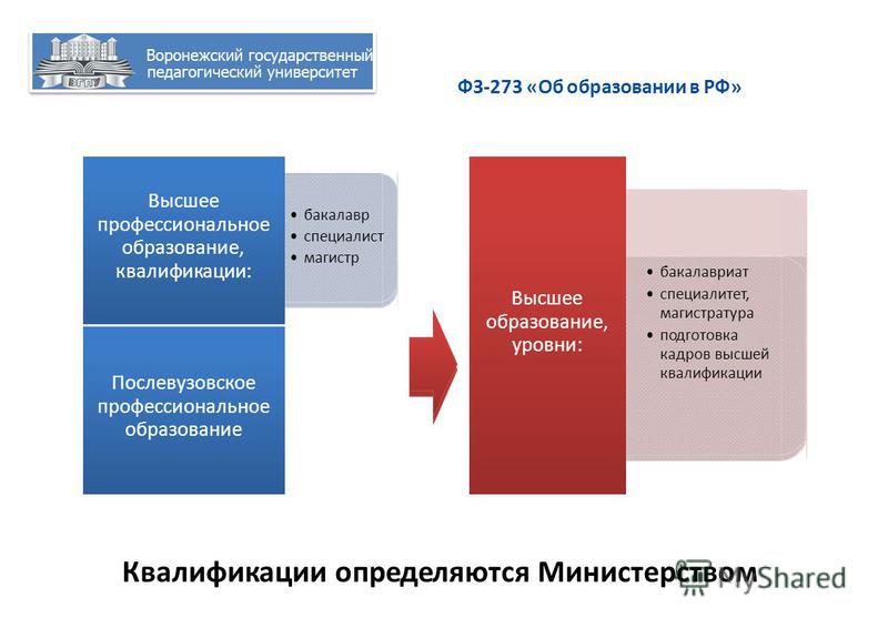 Менеджмент игровых проектов магистратура