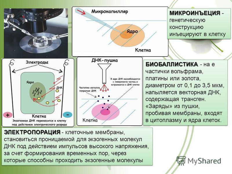 Конкурсы