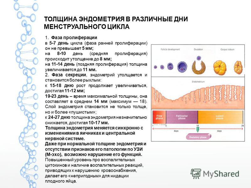 Задать вопрос - городской роддом череповец Данко - Мой малыш растет не по годам слушать онлайн и