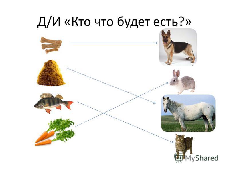 Что же нам теперь делать? - YouTube