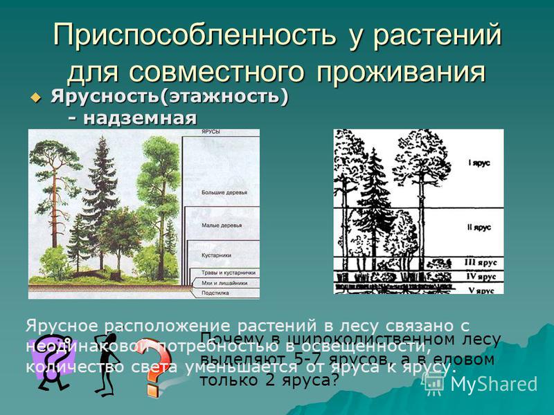 Это связано с отражением света Это связано с отражением света