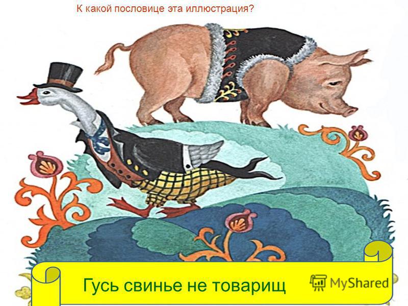 Свиньяпословицы и поговорки Свиньяпословицы и поговорки