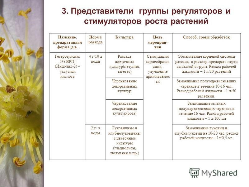 Влияние биостимуляторов на всхожесть садовых растений проект