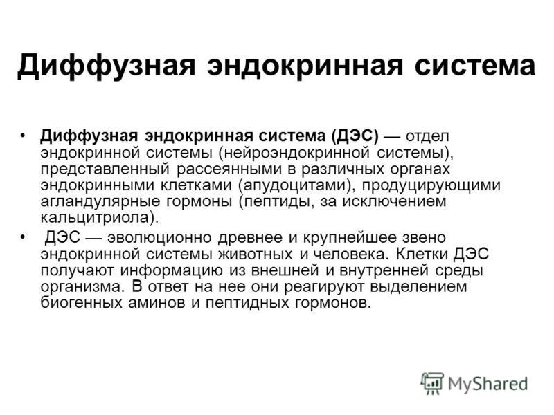 Диффузная эндокринная система примеры