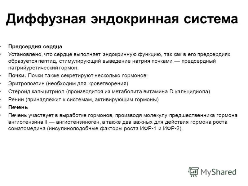 Диффузная эндокринная система таблица - TouristMaps.ru