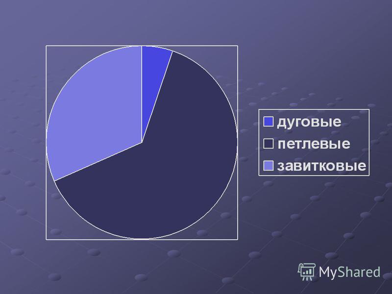 Папиллярные узоры пальцев рук Папиллярные узоры пальцев рук