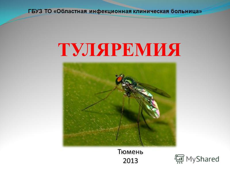 Поликлиника мичуринский проспект 3