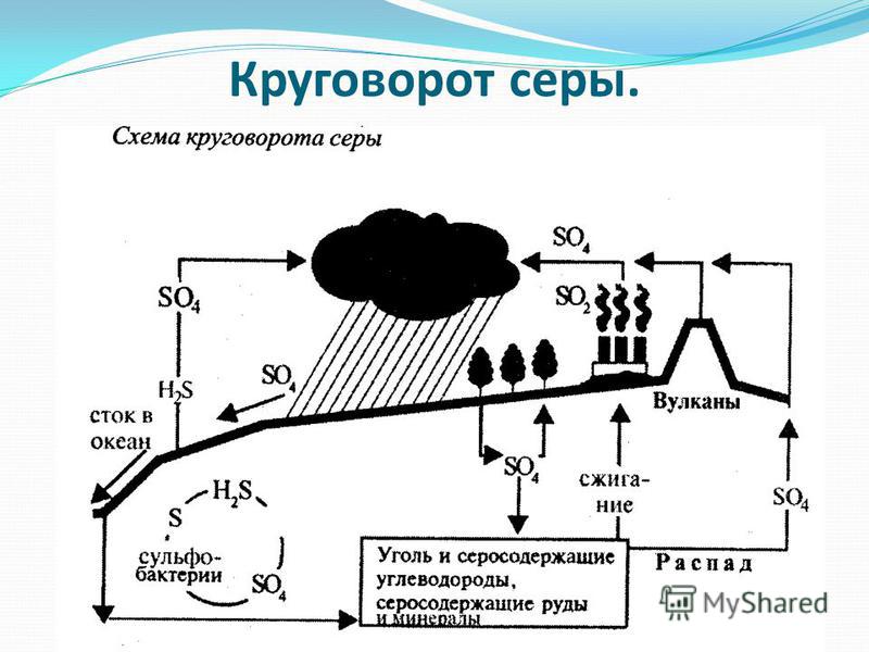 Круговорота серы в природе схема Круговорота серы в природе схема