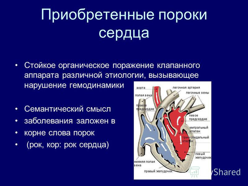Красивые праздничные причёски с косами Красивые праздничные причёски с косами