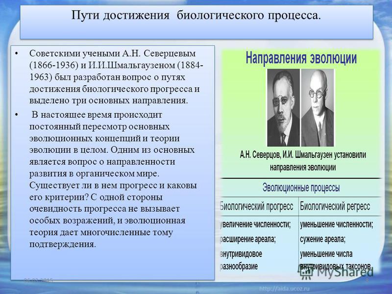 Пути достижения биологического прогресса презентация