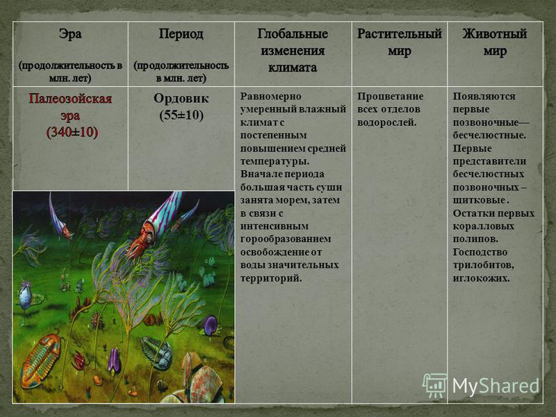 Купить Стенд Геохронологическая таблица в зеленых тонах 1200*850мм