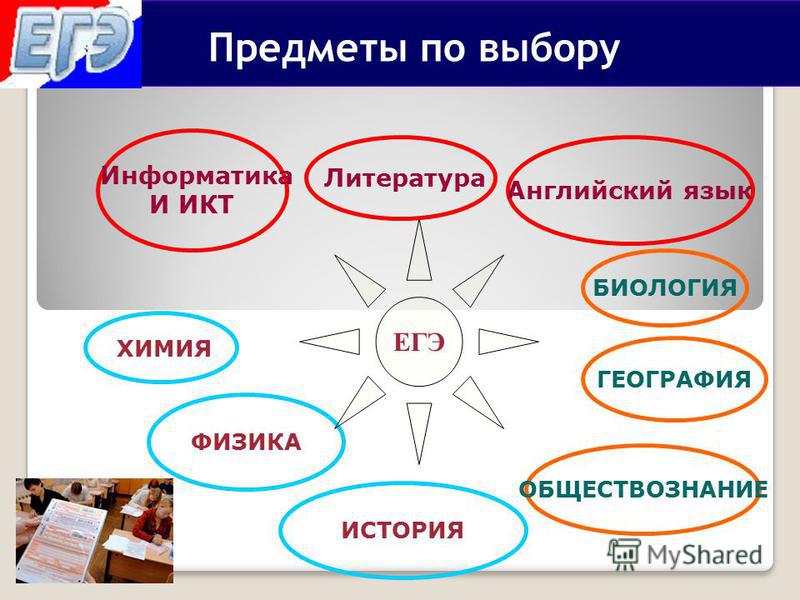 Заявление Об Отказе Сдачи Егэ По Выбору