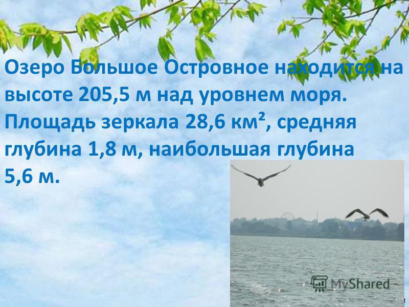 Озеро Большое Островное находится на высоте 205,5 м над уровнем моря. Площадь зеркала 28,6 км², средняя глубина 1,8 м, наибольшая глубина 5,6 м.