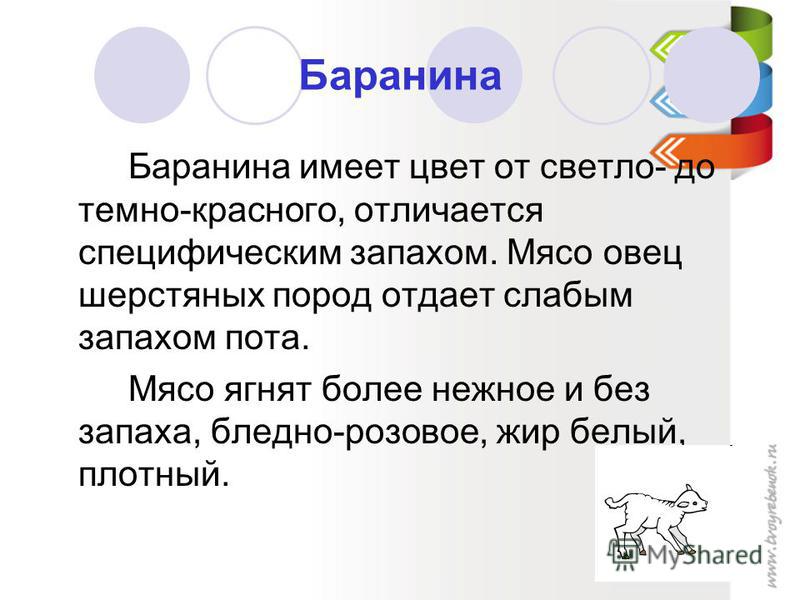 Курсовая работа по теме Товароведная характеристика мяса баранины