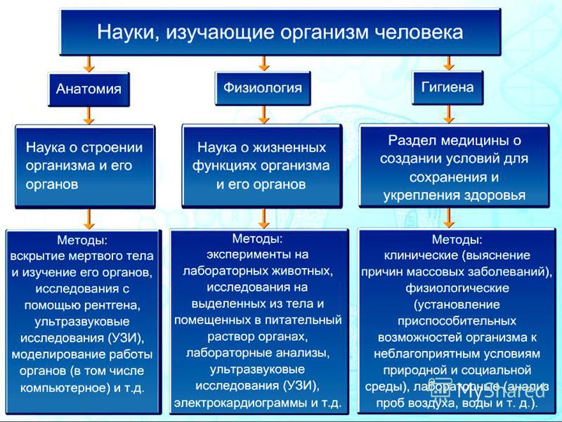 Наука изучающая отношения людей связанные с организацией производства Наука изучающая отношения людей связанные с организацией производства