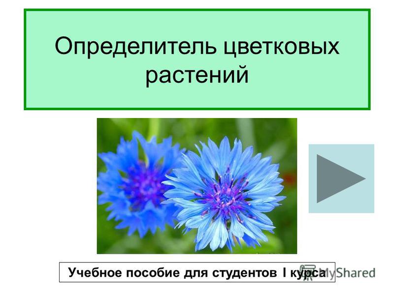 Определитель цветковых растений Учебное пособие для студентов I курса