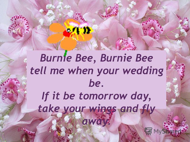 Burnie Bee, Burnie Bee tell me when your wedding be. If it be tomorrow day, take your wings and fly away.
