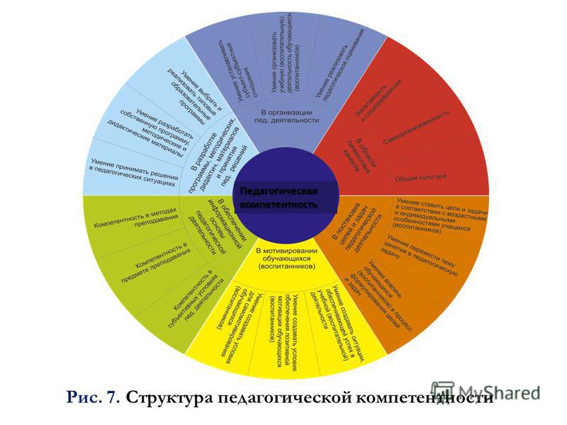 Рис. 7. Структура педагогической компетентности Педагогическая компетентность