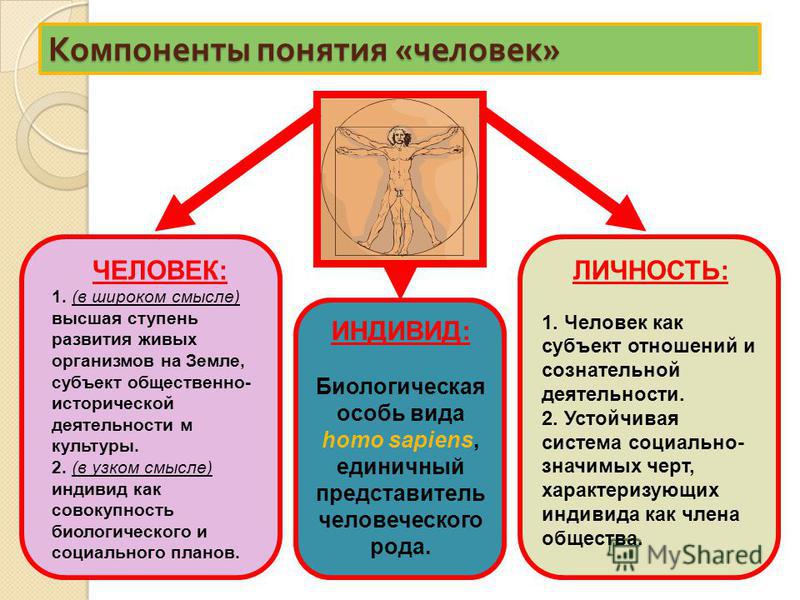 Обществознание Реферат На Тему Человек Индивид Личность