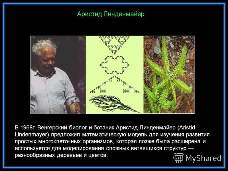 В 1968 г. Венгерский биолог и ботаник Аристид Линденмайер (Aristid Lindenmayer) предложил математическую модель для изучения развития простых многоклеточных организмов, которая позже была расширена и используется для моделирования сложных ветвящихся 