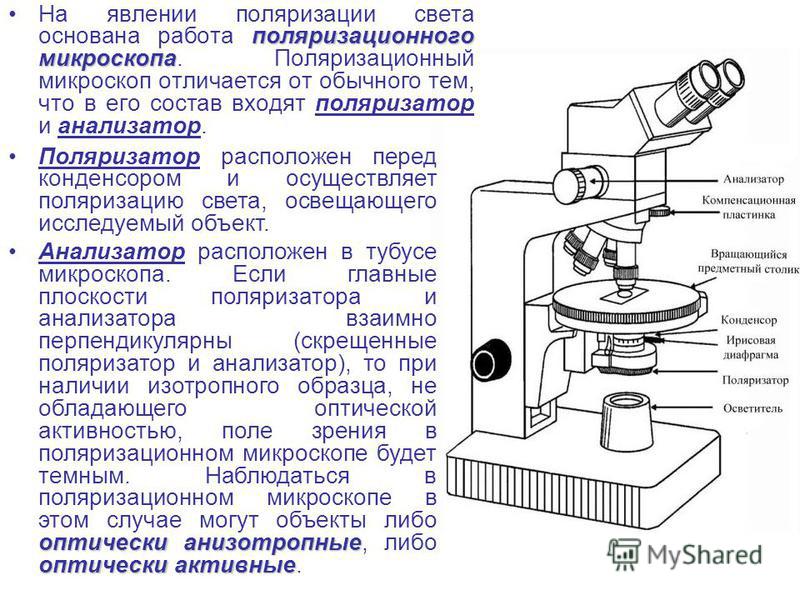 поляризационного микроскопа На явлении поляризации света основана работа поляризационного микроскопа. Поляризационный микроскоп отличается от обычного тем, что в его состав входят поляризатор и анализатор. Поляризатор расположен перед конденсором и о