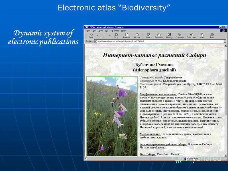 Electronic atlas Biodiversity Dynamic system of electronic publications