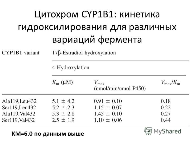 Цитохром CYP1B1: кинетика гидроксилирования для различных вариаций фермента KM=6.0 по данным выше