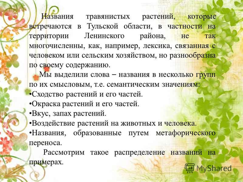 Названия травянистых растений, которые встречаются в Тульской области, в частности на территории Ленинского района, не так многочисленны, как, например, лексика, связанная с человеком или сельским хозяйством, но разнообразна по своему содержанию. Мы 