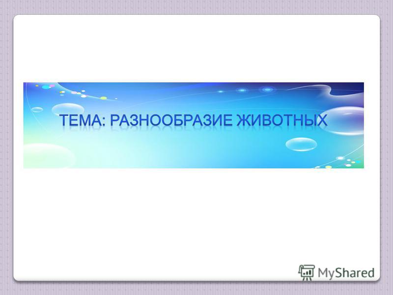 как называется фото где много фото онлайн как называется фото где много фото