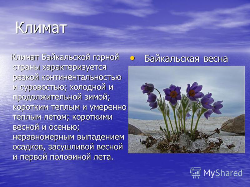 Климат Климат Байкальской горной страны характеризуется резкой континентальностью и суровостью; холодной и продолжительной зимой; коротким теплым и умеренно теплым летом; короткими весной и осенью; неравномерным выпадением осадков, засушливой весной 