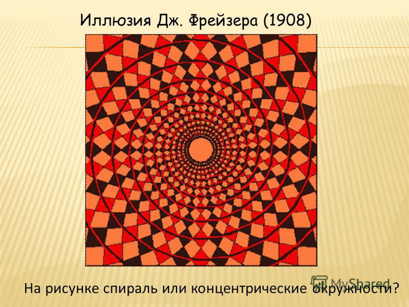 Иллюзия Дж. Фрейзера (1908) На рисунке спираль или концентрические окружности?