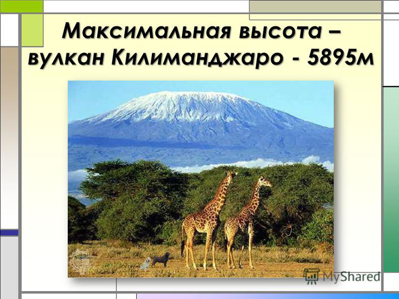 Максимальная высота – вулкан Килиманджаро - 5895 м