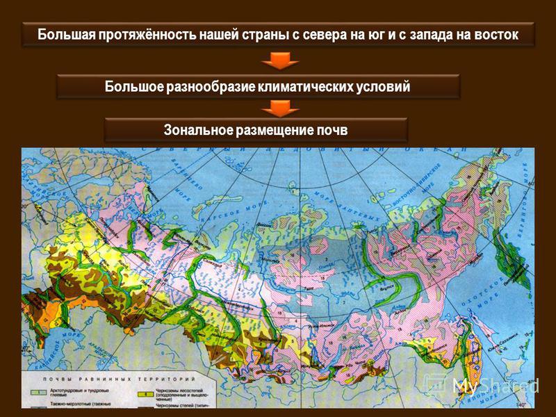 Большая протяжённость нашей страны с севера на юг и с запада на восток Большое разнообразие климатических условий Зональное размещение почв