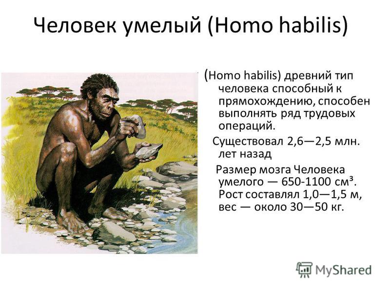 Человек умелый (Homo habilis) ( Homo habilis) древний тип человека способный к прямохождению, способен выполнять ряд трудовых операций. Существовал 2,62,5 млн. лет назад Размер мозга Человека умелого 650-1100 см³. Рост составлял 1,01,5 м, вес около 3
